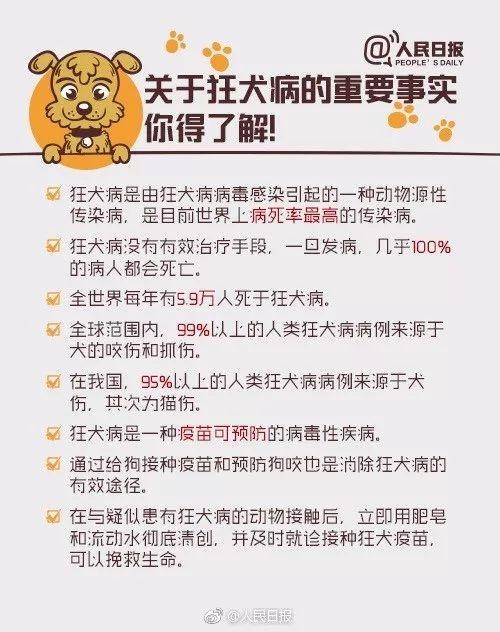 「提醒」被狗舔后40天9岁孩子突然死亡！养宠物一定注意！